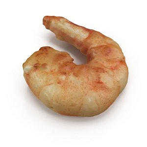3d cooked prawn