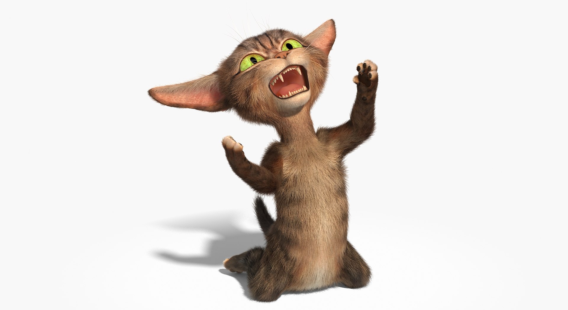 cat character rig 3d model https://p.turbosquid.com/ts-thumb/LV/pquj9J/DN/catd0053/jpg/1637126479/1920x1080/fit_q87/0bf8b28891402068edba3fa823fbfda445e19a82/catd0053.jpg