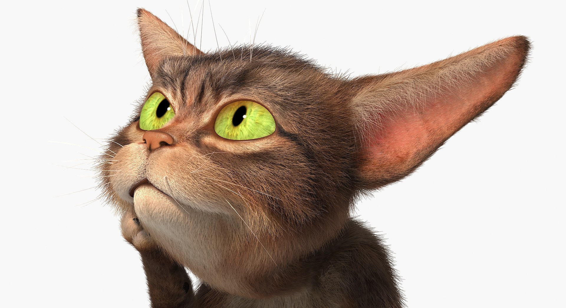 cat character rig 3d model https://p.turbosquid.com/ts-thumb/LV/pquj9J/UX/catd0052/jpg/1637126486/1920x1080/fit_q87/92e63cb680d4e39d7ea661d0a065abf21f3b5bca/catd0052.jpg