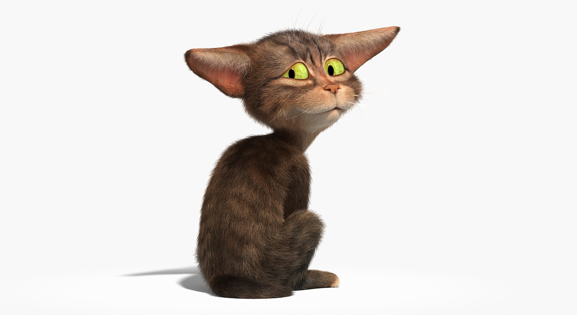 cat character rig 3d model https://p.turbosquid.com/ts-thumb/LV/pquj9J/r8/catd/jpg/1637145030/1920x1080/turn_fit_q99/bb0080174b338166482fd2f4941f9613a9a92471/catd-1.jpg