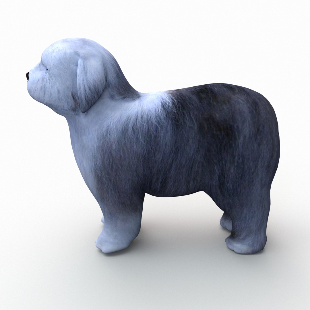 bobtail dog 3d model https://p.turbosquid.com/ts-thumb/LV/pt3Udk/5JWJxGfq/turntablefile_360/jpg/1404835047/1920x1080/turn_fit_q99/cc6e33b05600aeef5b10aa4c6a4fff3dd3fba294/turntablefile_360-1.jpg