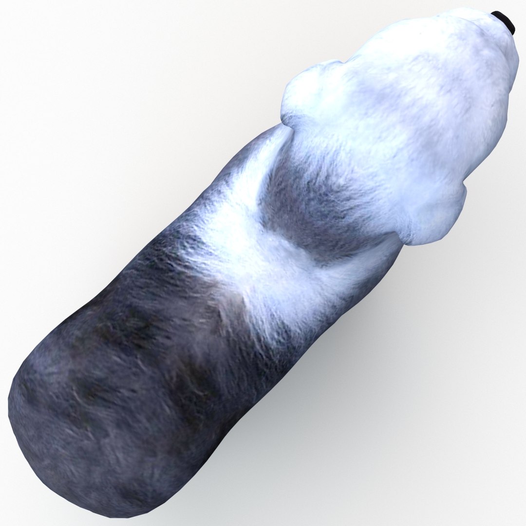 bobtail dog 3d model https://p.turbosquid.com/ts-thumb/LV/pt3Udk/8u8MegwB/bobtaildog_12/jpg/1404835033/1920x1080/fit_q87/37e2218674ba7d1ba06add34ac86c30a721e9812/bobtaildog_12.jpg