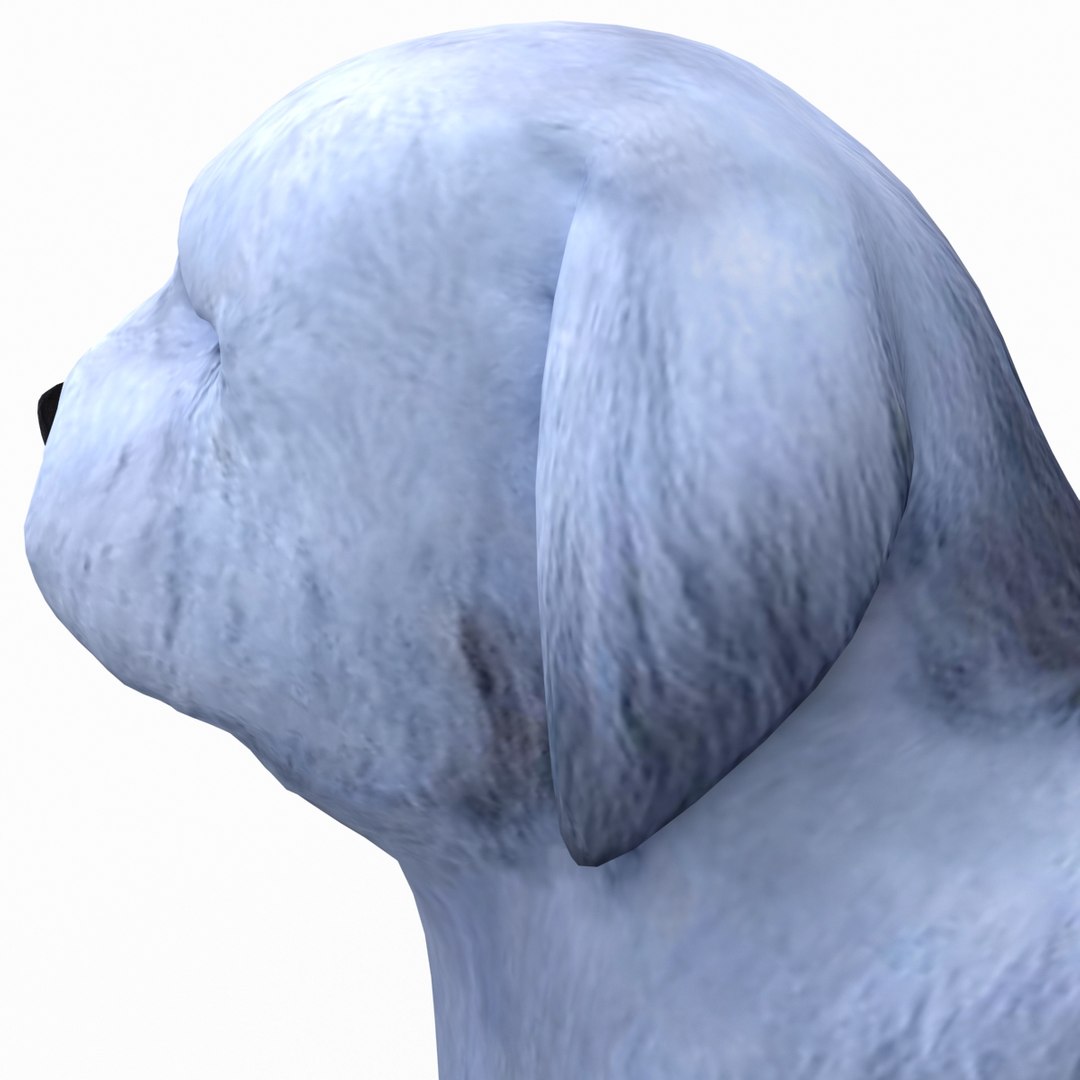 bobtail dog 3d model https://p.turbosquid.com/ts-thumb/LV/pt3Udk/BRgzyCkT/bobtaildog_18/jpg/1404835046/1920x1080/fit_q87/1694aeb02e31f55366b267950fc30dd631747b43/bobtaildog_18.jpg