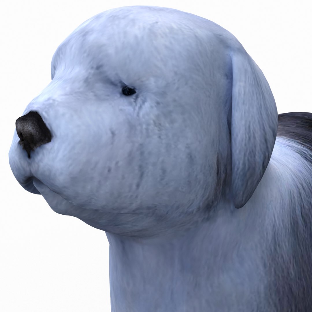 bobtail dog 3d model https://p.turbosquid.com/ts-thumb/LV/pt3Udk/R04o9s5r/bobtaildog_13/jpg/1404835012/1920x1080/fit_q87/745ee3880c987c61f3e4b56d77f748819a3d0754/bobtaildog_13.jpg