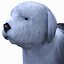 Bobtail Dog