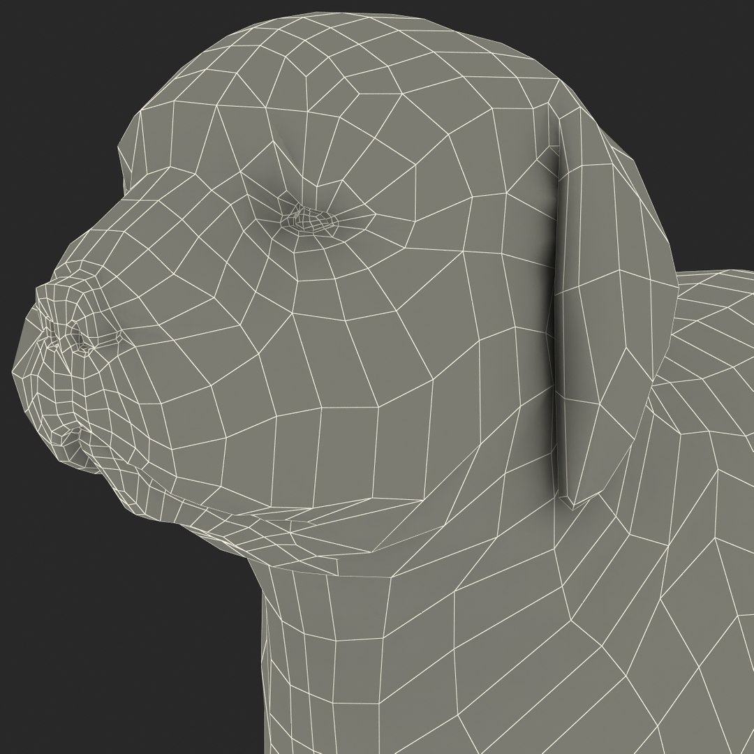 bobtail dog 3d model https://p.turbosquid.com/ts-thumb/LV/pt3Udk/Tc6HfARW/bobtaildog_21/jpg/1404835053/1920x1080/fit_q87/bac7197f15ce88c90a18e27090678359e602b016/bobtaildog_21.jpg