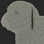 Bobtail Dog
