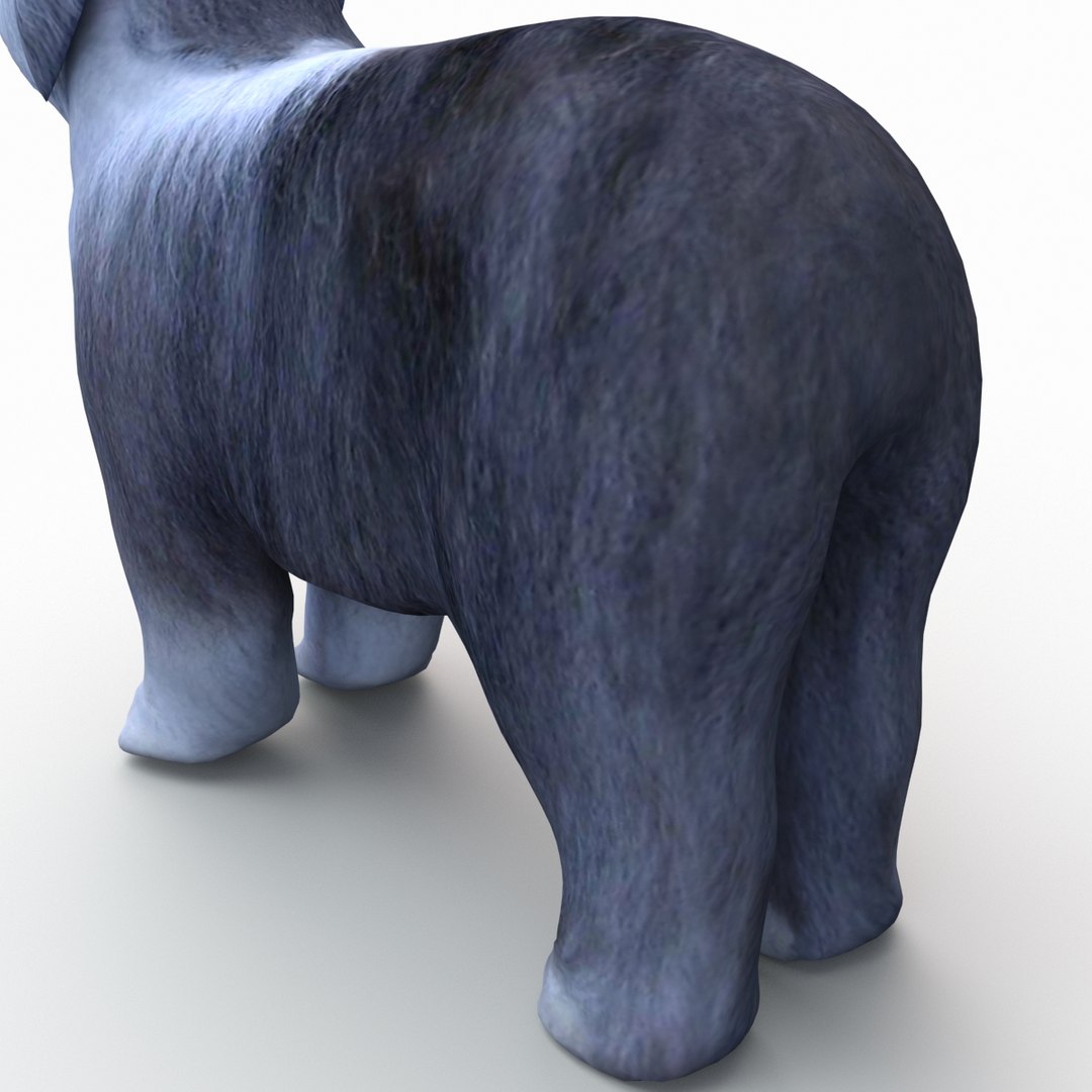 bobtail dog 3d model https://p.turbosquid.com/ts-thumb/LV/pt3Udk/TkQpmLy1/bobtaildog_16/jpg/1404835041/1920x1080/fit_q87/fe1b95f263efd00fe48b2c96277e5c2373ecbadd/bobtaildog_16.jpg