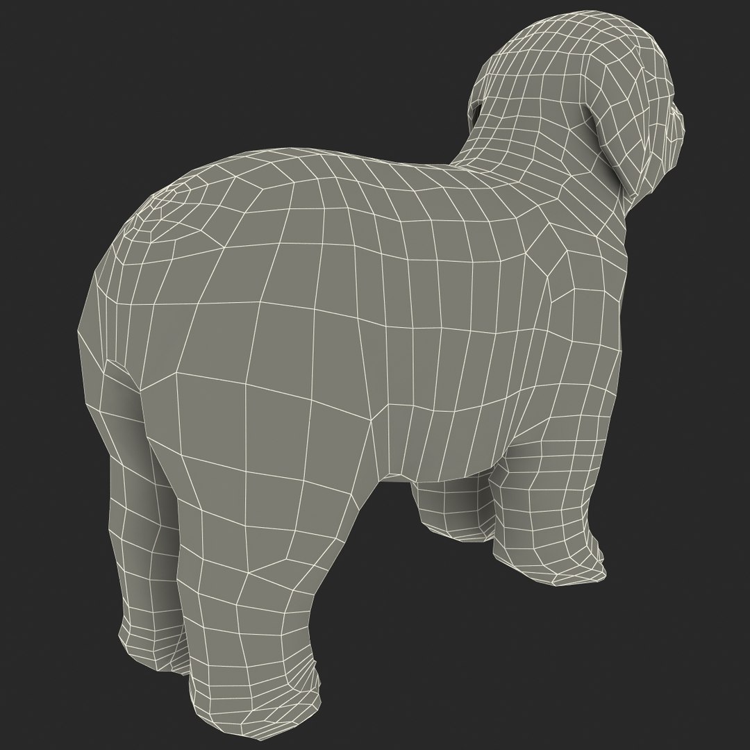 bobtail dog 3d model https://p.turbosquid.com/ts-thumb/LV/pt3Udk/etyzno6s/bobtaildog_20/jpg/1404835051/1920x1080/fit_q87/252d181f3864c35735acf405b022e8b54594de73/bobtaildog_20.jpg