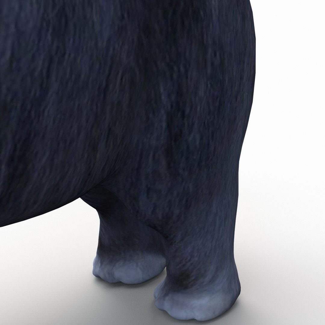 bobtail dog 3d model https://p.turbosquid.com/ts-thumb/LV/pt3Udk/hhJllLy6/bobtaildog_15/jpg/1404835039/1920x1080/fit_q87/65492266308c78d1c73770b4f919aa8e563cfc1e/bobtaildog_15.jpg
