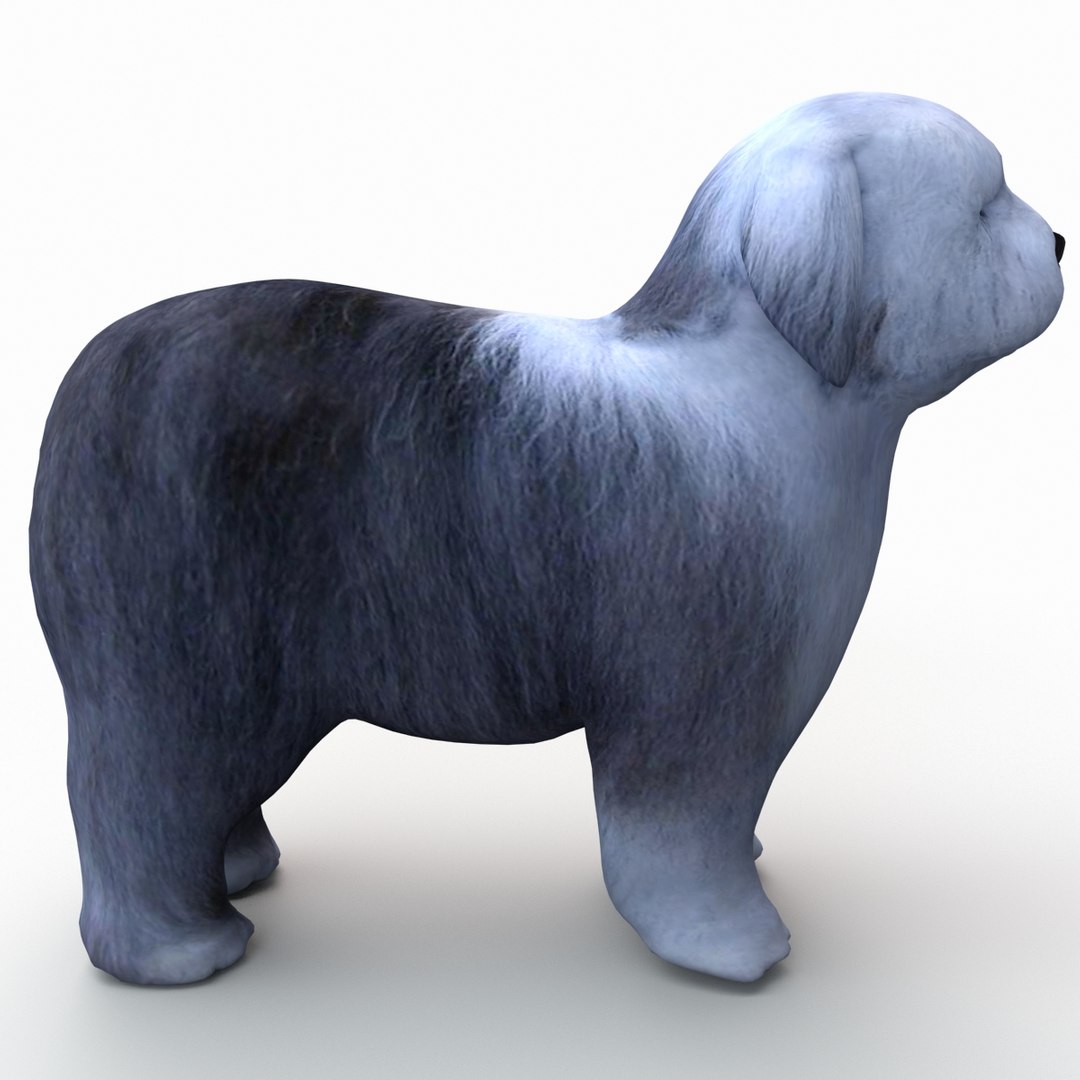 bobtail dog 3d model https://p.turbosquid.com/ts-thumb/LV/pt3Udk/maMM1z6b/bobtaildog_10/jpg/1404835029/1920x1080/fit_q87/2d16f8417b5ed175a1fb455ac3cbd819b0bd711d/bobtaildog_10.jpg