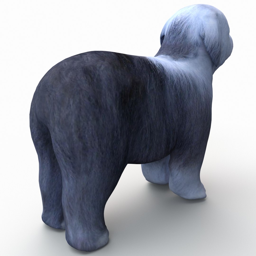 bobtail dog 3d model https://p.turbosquid.com/ts-thumb/LV/pt3Udk/milYq5eW/bobtaildog_11/jpg/1404835016/1920x1080/fit_q87/9534962a34c2b4131d00fa3f2fa954e5abca17e7/bobtaildog_11.jpg