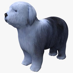 Bobtail Dog