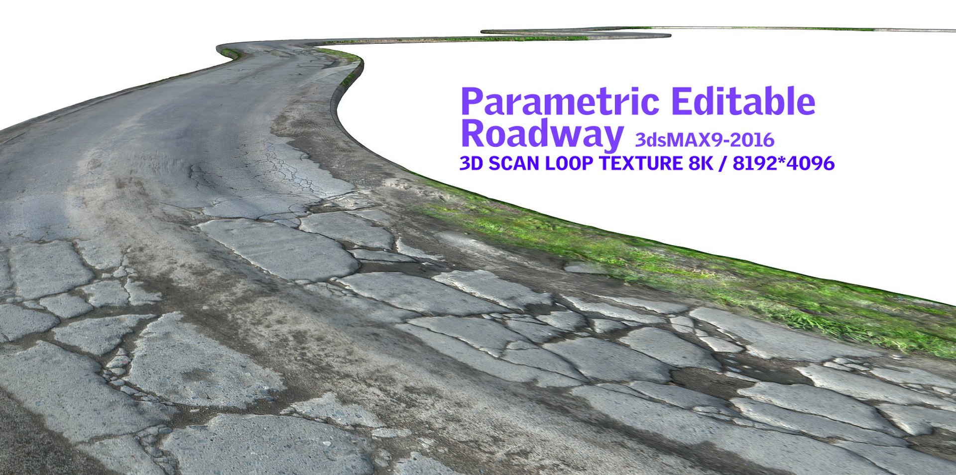Roadway Hd Scan 3d Max