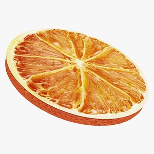 Dried orange slice 3D model