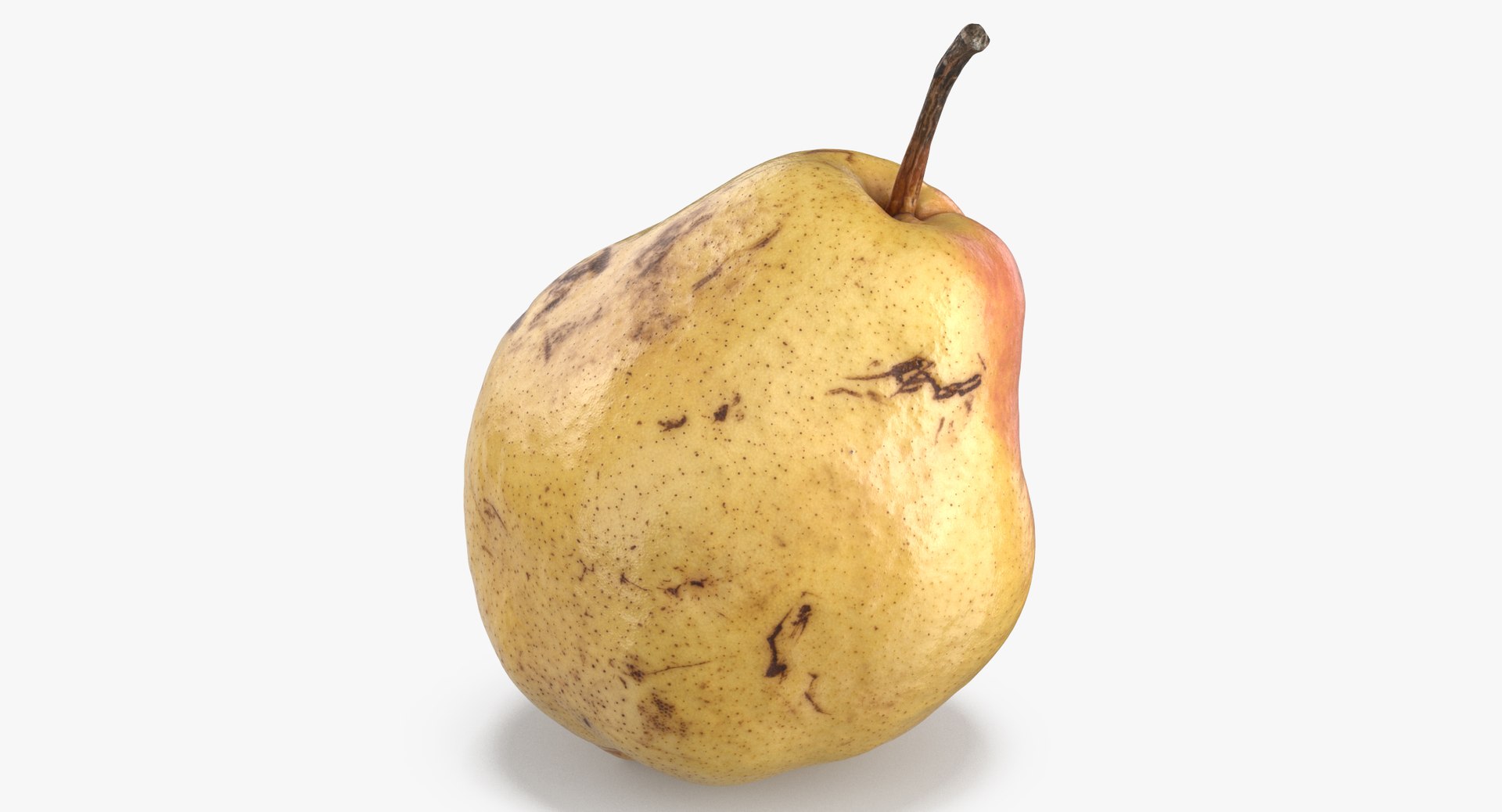 apples pears 02 3D model https://p.turbosquid.com/ts-thumb/LV/xZrfPM/3svVCoPF/comice_pear_01_thumbnail_0002/jpg/1574073657/1920x1080/fit_q87/2bcd70955d3f965b0c547bb2f8109931bfffd9c2/comice_pear_01_thumbnail_0002.jpg