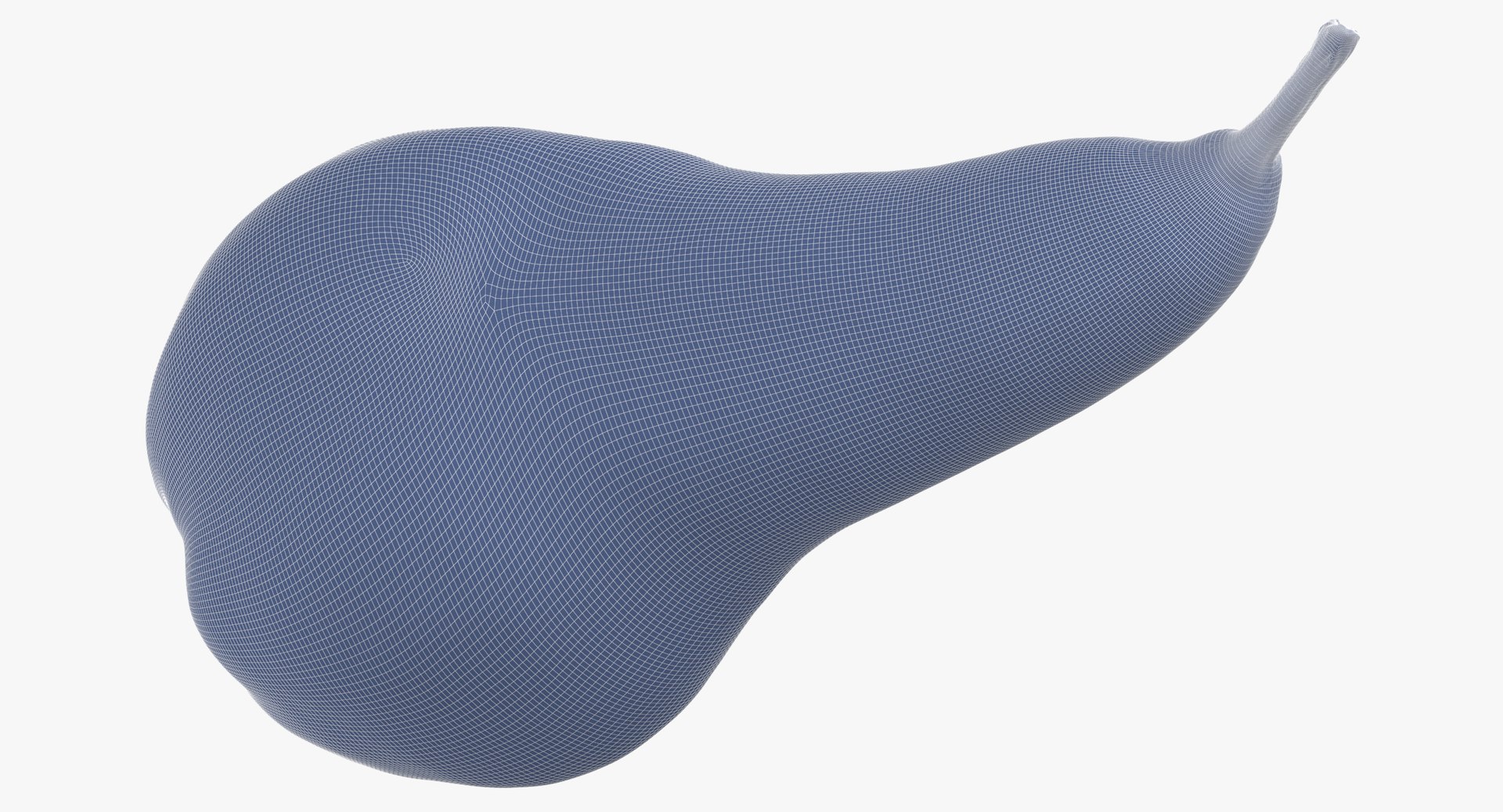 apples pears 02 3D model https://p.turbosquid.com/ts-thumb/LV/xZrfPM/LFtkmwHf/conference_pear_05_wireframe_01_0007/jpg/1574073849/1920x1080/fit_q87/f29f1e1ea4f59f688efa0f2364d90fbdd33571ca/conference_pear_05_wireframe_01_0007.jpg