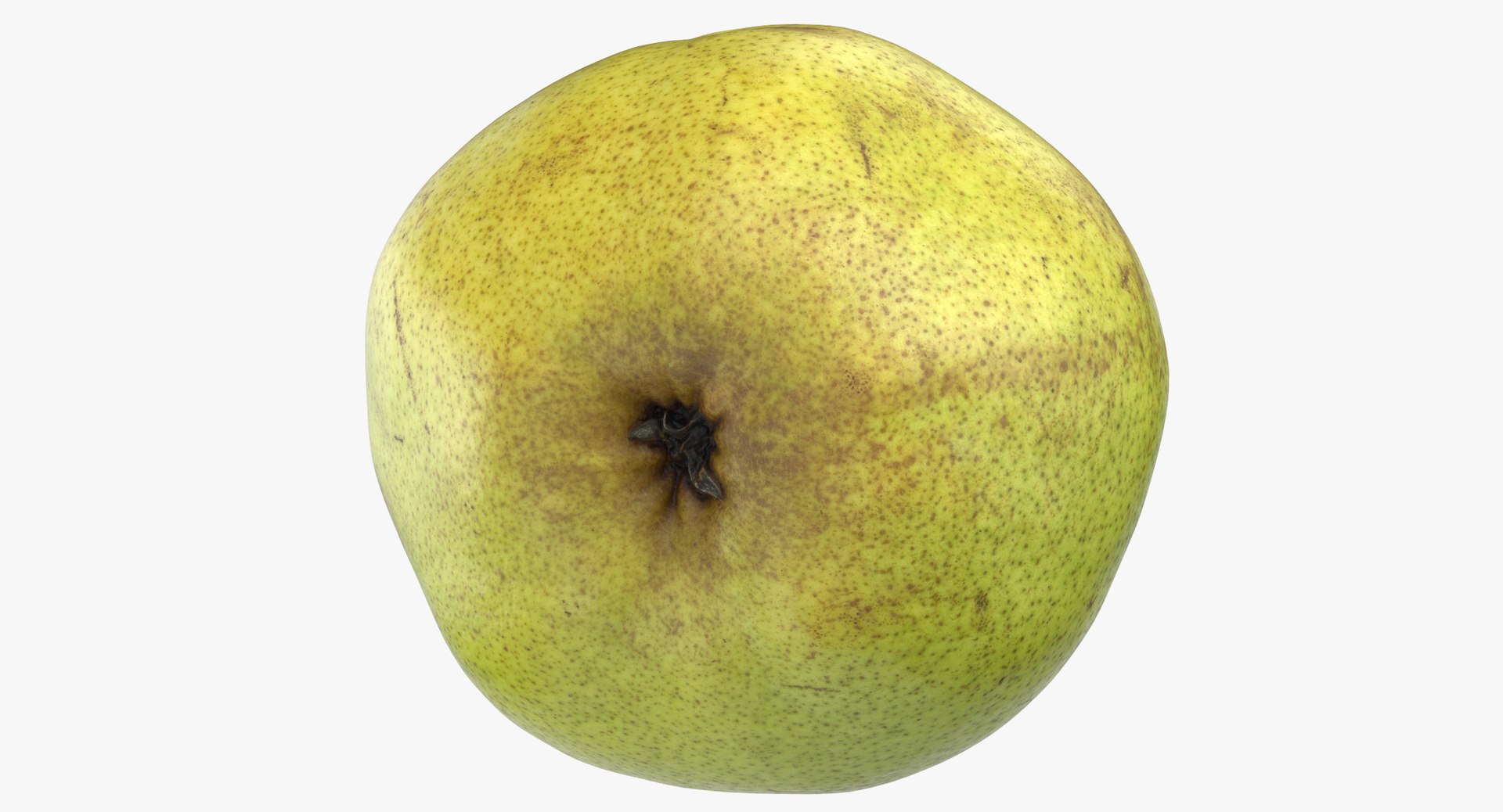 apples pears 02 3D model https://p.turbosquid.com/ts-thumb/LV/xZrfPM/R18ZWcFL/taylors_gold_pear_03_thumbnail_0007/jpg/1574072571/1920x1080/fit_q87/ea7f8cbeebd82c6723bc7762a0221772246f0b19/taylors_gold_pear_03_thumbnail_0007.jpg