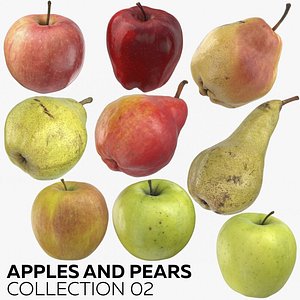 apples pears 02 3D model