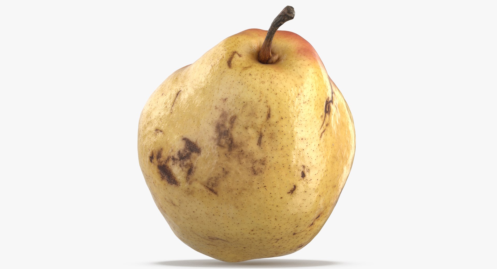 apples pears 02 3D model https://p.turbosquid.com/ts-thumb/LV/xZrfPM/ahzQjXCH/comice_pear_01_thumbnail_0006/jpg/1574073657/1920x1080/fit_q87/a45f2c52d9f99c86212305e4e0f97a7782d37981/comice_pear_01_thumbnail_0006.jpg