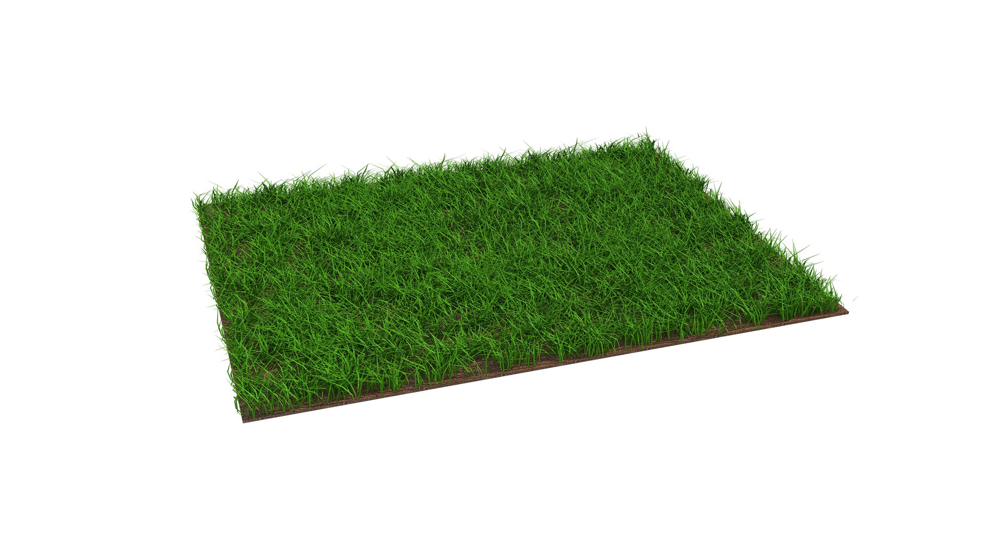 3D Grass Cross Sections model https://p.turbosquid.com/ts-thumb/LV/zWTDlt/pE/grasscrosssections15/jpg/1718976792/1920x1080/fit_q87/82c643ef6a93e7030c99d5d4324829f564a54e35/grasscrosssections15.jpg