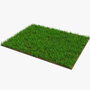3D Grass Cross Sections model