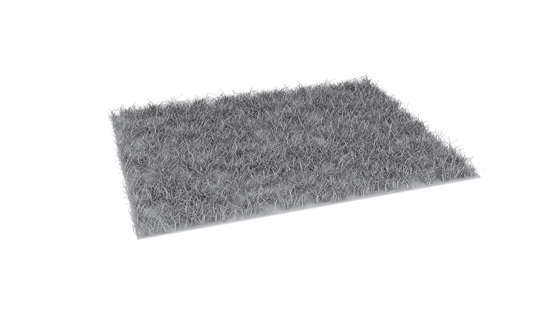 3D Grass Cross Sections model https://p.turbosquid.com/ts-thumb/LV/zWTDlt/z8/grasscrosssections16/jpg/1718976797/1920x1080/fit_q87/86cf0f5e1850bb5c8915bf4034f52a5cd7bcb980/grasscrosssections16.jpg