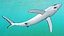 Great Blue Shark 3D model