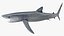 Great Blue Shark 3D model