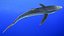 Great Blue Shark 3D model