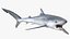 Great Blue Shark 3D model