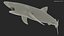 Great Blue Shark 3D model