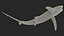 Great Blue Shark 3D model