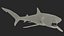 Great Blue Shark 3D model
