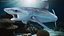Great Blue Shark 3D model