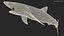 Great Blue Shark 3D model