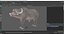 Maya 用の装備されたアフリカの動物コレクション 8