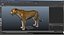 Maya 用の装備されたアフリカの動物コレクション 8