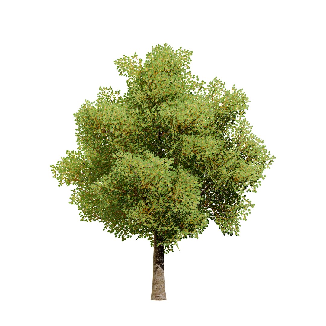 Low Poly Game Ready Hazelnut Trees with Fruit 3D https://p.turbosquid.com/ts-thumb/LW/BRxksZ/MB/hazelnuttree_02/jpg/1722178085/1920x1080/fit_q87/5daec7857ee3e3f5c868410c0145938fbebb8e40/hazelnuttree_02.jpg