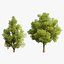 Low Poly Game Ready Hazelnut Trees with Fruit