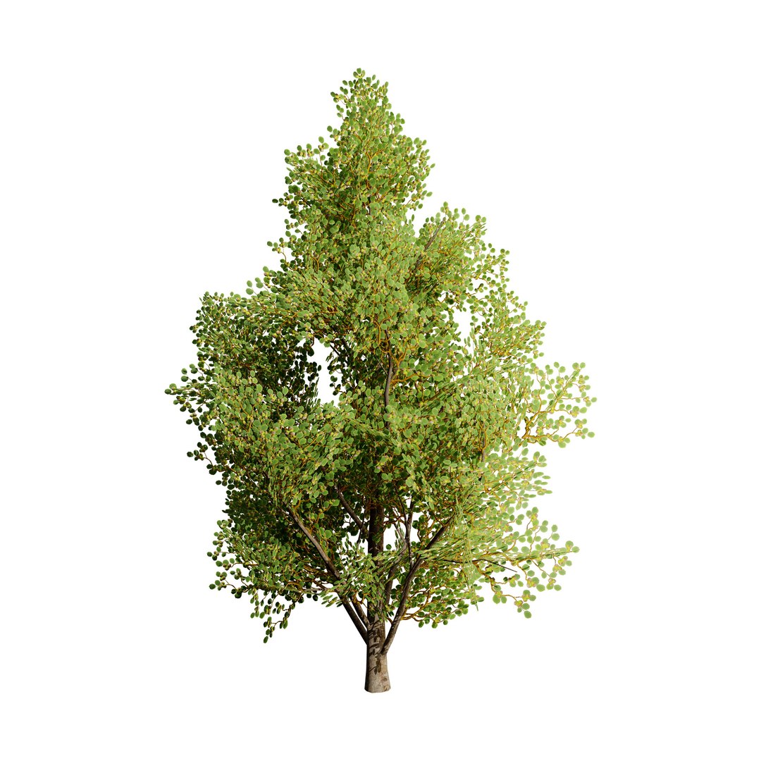 Low Poly Game Ready Hazelnut Trees with Fruit 3D https://p.turbosquid.com/ts-thumb/LW/BRxksZ/ku/hazelnuttree_0102/jpg/1722178091/1920x1080/fit_q87/04b59a40a8659e90c9060d269a4b16757295b00b/hazelnuttree_0102.jpg