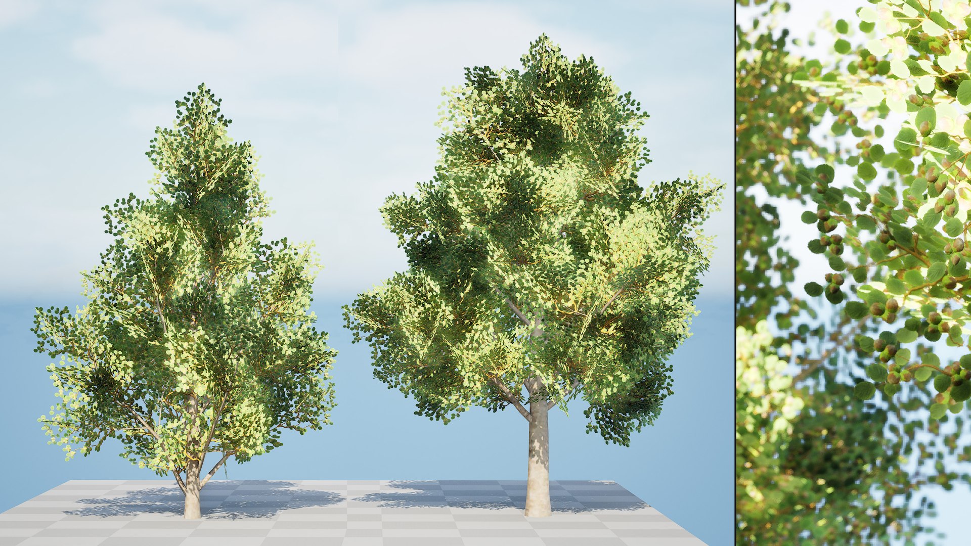Low Poly Game Ready Hazelnut Trees with Fruit 3D https://p.turbosquid.com/ts-thumb/LW/BRxksZ/rE/screenfdsa/jpg/1722178093/1920x1080/fit_q87/093a79149fda1e7e81e65127aac22749c5900166/screenfdsa.jpg