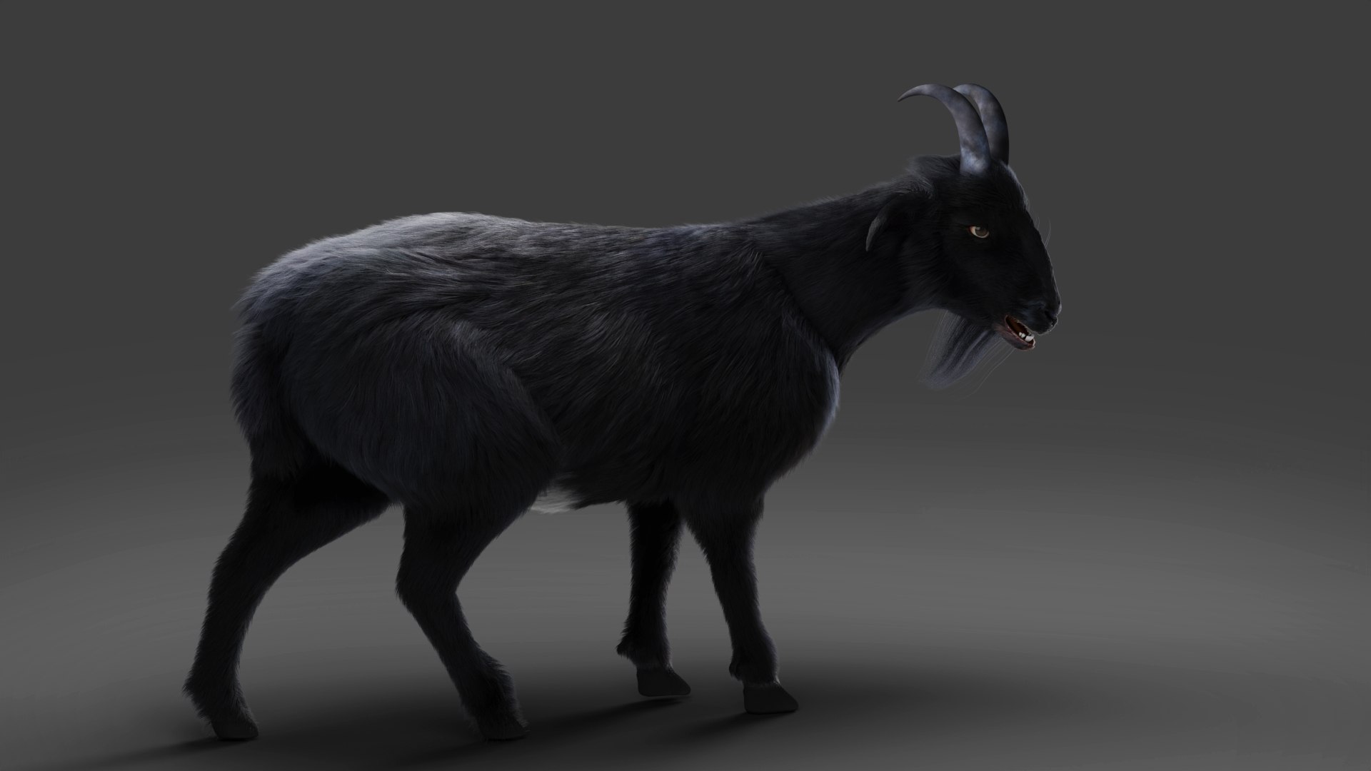 3D Fur Goat 05 Rigged And Animation In Blender Model - TurboSquid 2006423