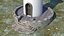 FAROL