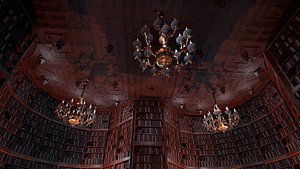 Unique Style Gothic and Victorian Library and Athenaeum