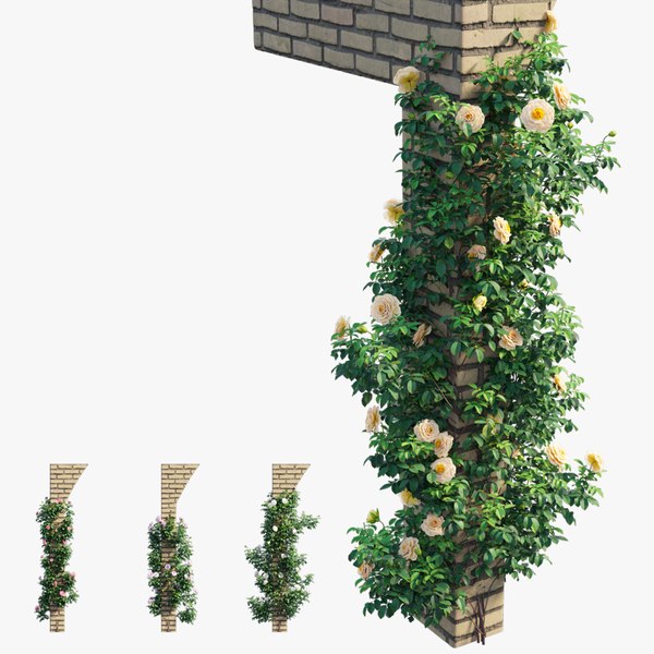 modelo 3d Conjunto de plantas de rosas 72 - TurboSquid 1784954
