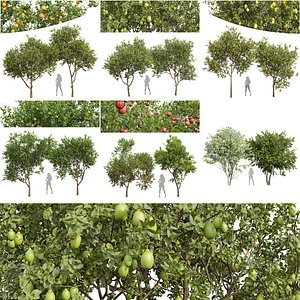 3D 6Different SETS of Tree Set Vol 37 model