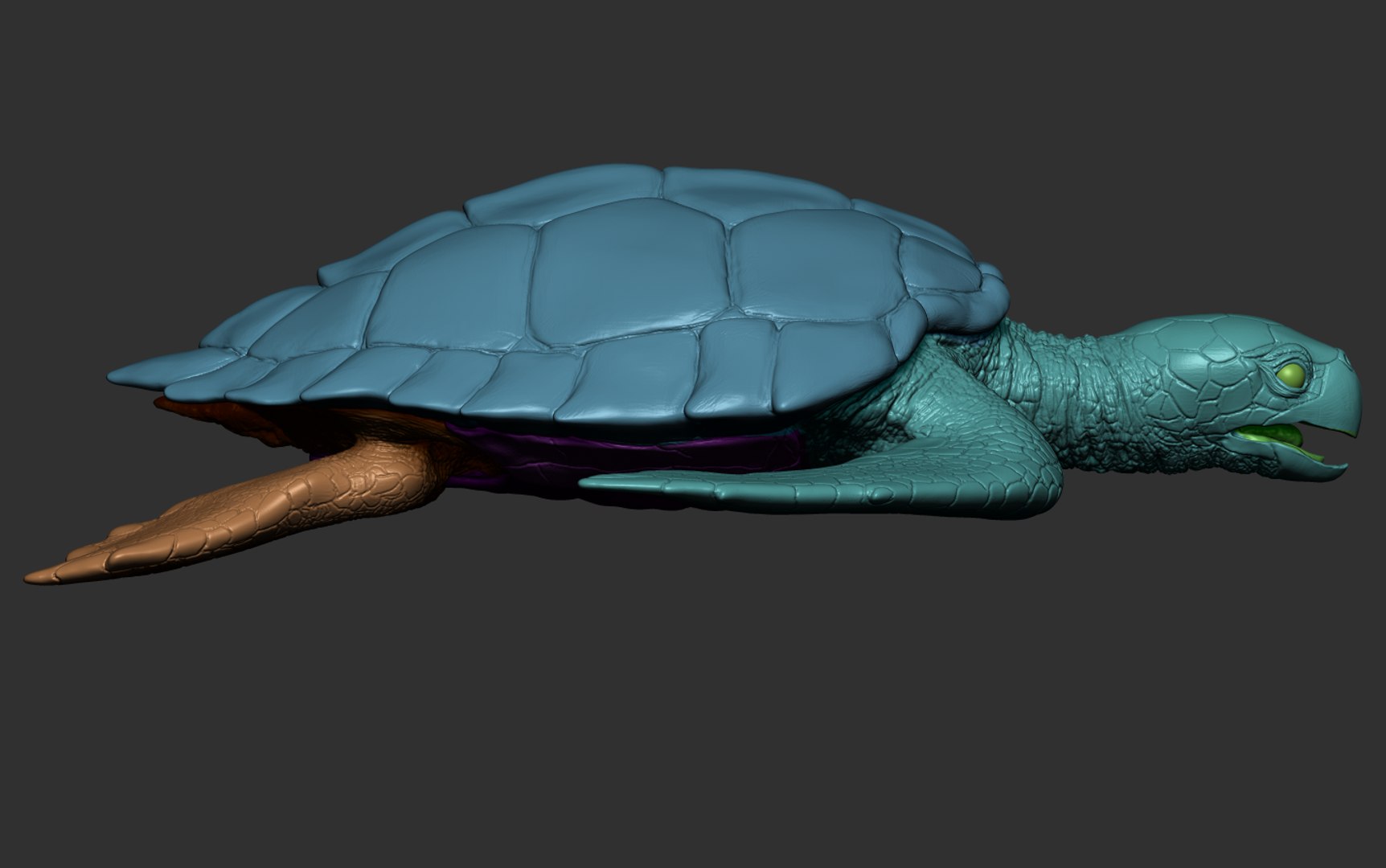 Hawksbill Sea Turtle 3D model https://p.turbosquid.com/ts-thumb/LW/UsNmxo/F7/23/png/1651795330/1920x1080/fit_q87/af3dec671afc1649c54ad99c3966b0142ade4bbe/23.jpg