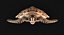 Hawksbill Sea Turtle