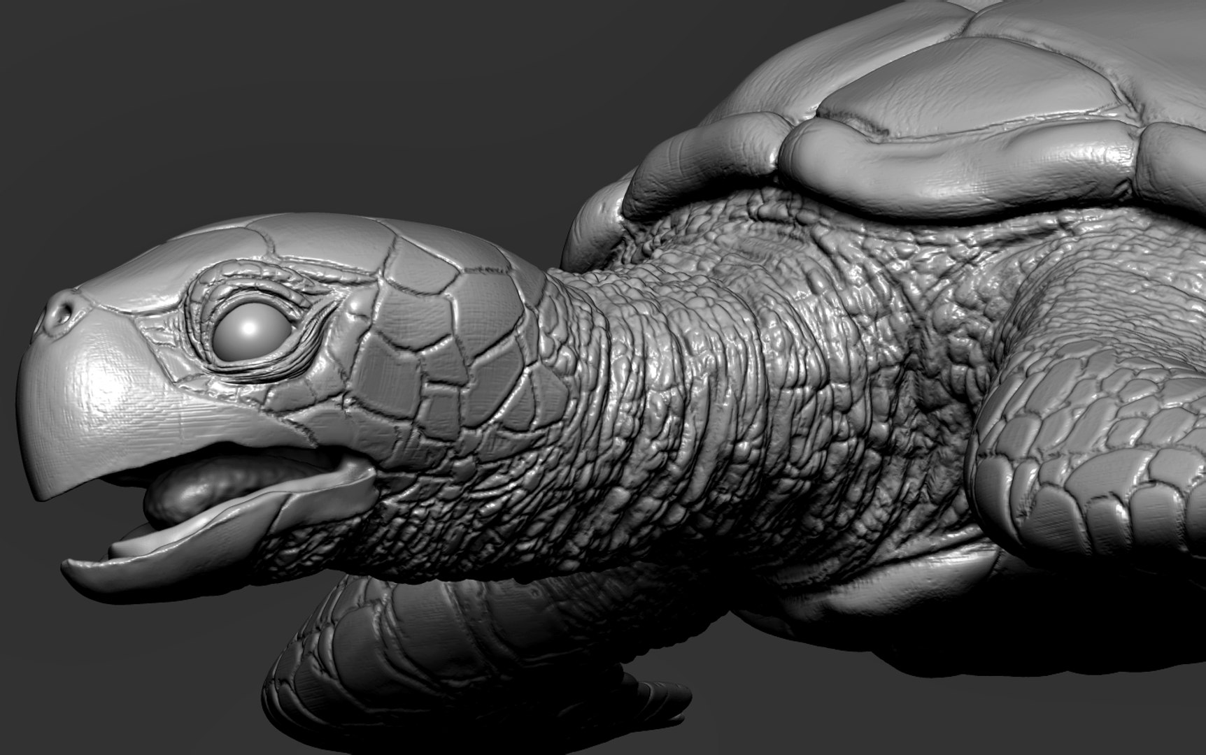 Hawksbill Sea Turtle 3D model https://p.turbosquid.com/ts-thumb/LW/UsNmxo/Gb/26/png/1651795308/1920x1080/fit_q87/cb9d737781954aeb76e7106a2826f137364216dc/26.jpg